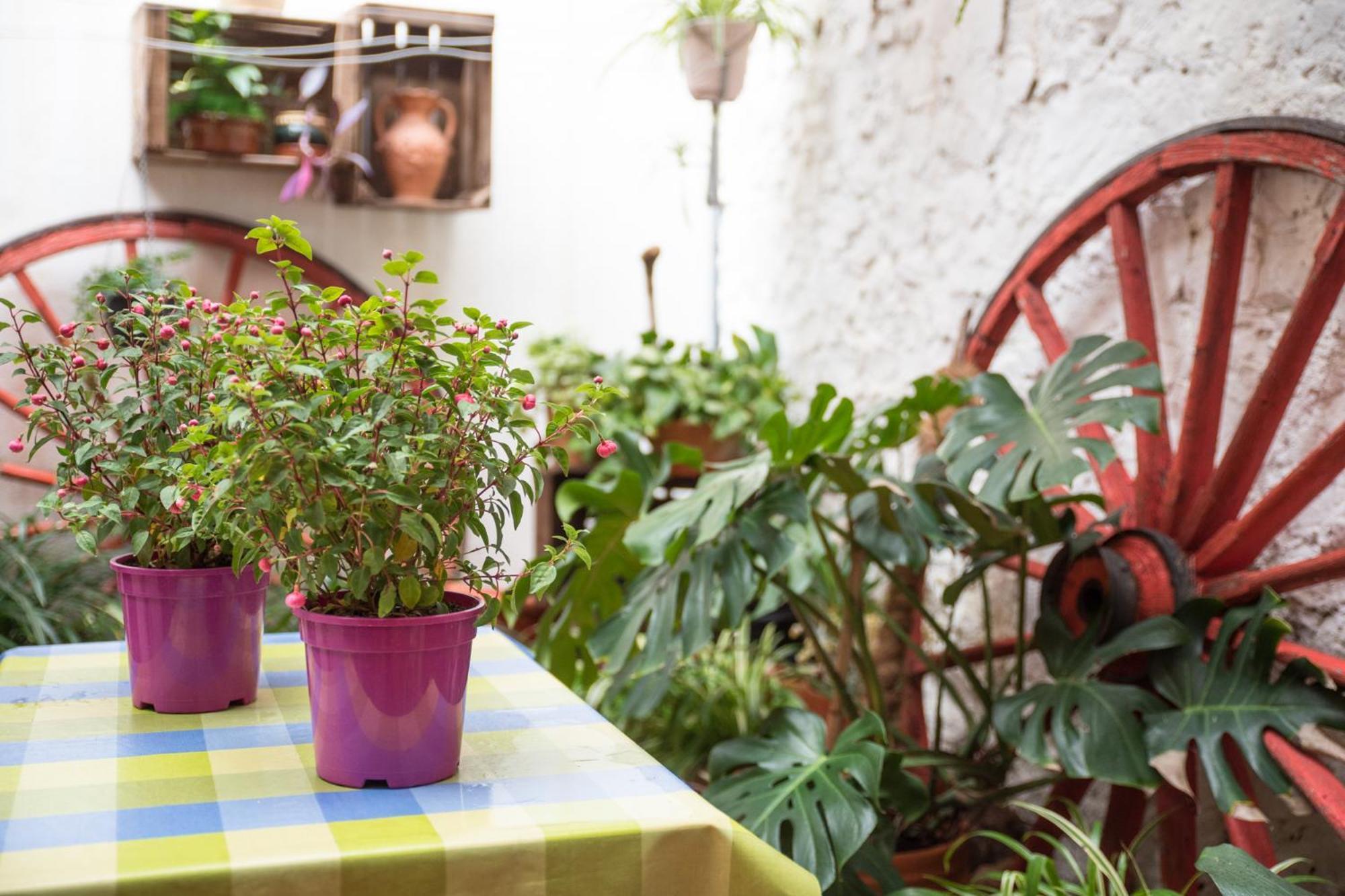 Bed and Breakfast Casa Arizo, Adults Recommended Оропеса-дель-Мар Экстерьер фото